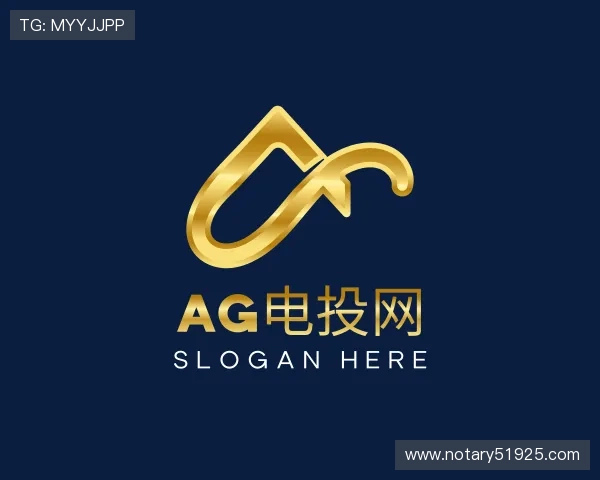 关于AG电投网